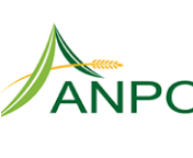 logo ANPC